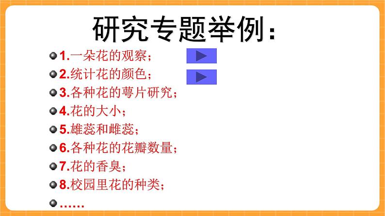 《10.各种各样的花》第四课时 课件第4页