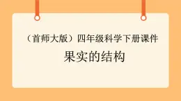 《11.果實的結(jié)構(gòu)》第一課時 教案+課件