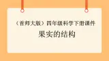 《11.果实的结构》第一课时 教案+课件