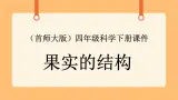 《11.果实的结构》第二课时 教案+课件
