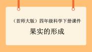 小学科学首师大版四年级下册12.果实的形成优秀课件ppt