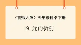 《13.光的折射》教案+課件