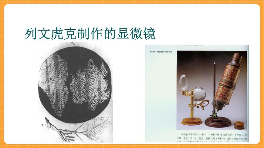 《1.顯微鏡的發(fā)明與發(fā)展》課件第3頁