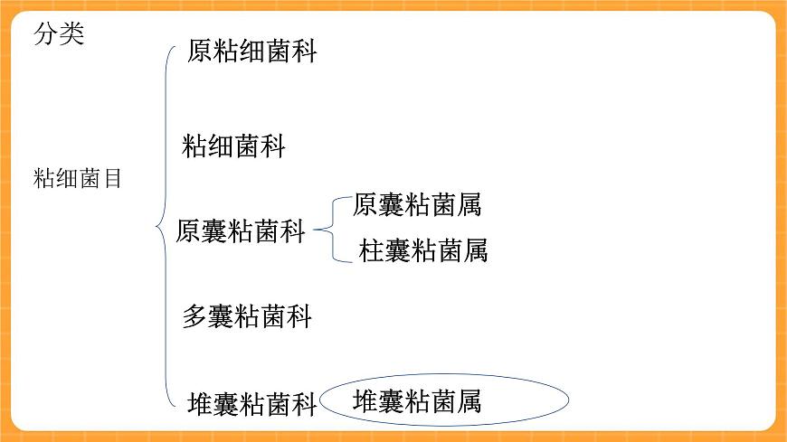 《4.微生物的技術》課件第4頁