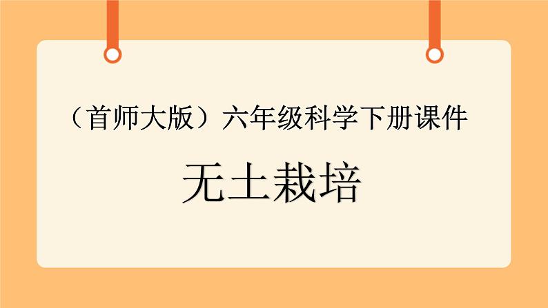 《14.无土栽培》课件+教案01