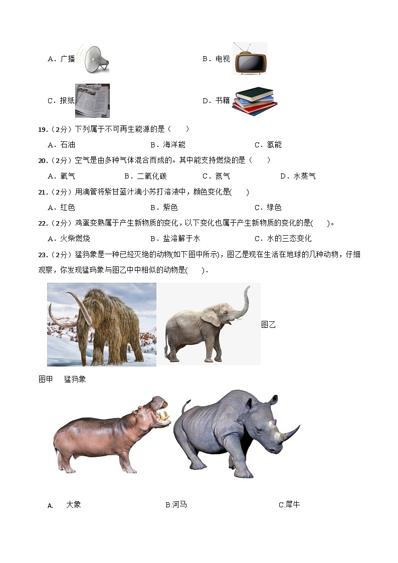 大象版六年级下册科学期末检测(含答案)第2页