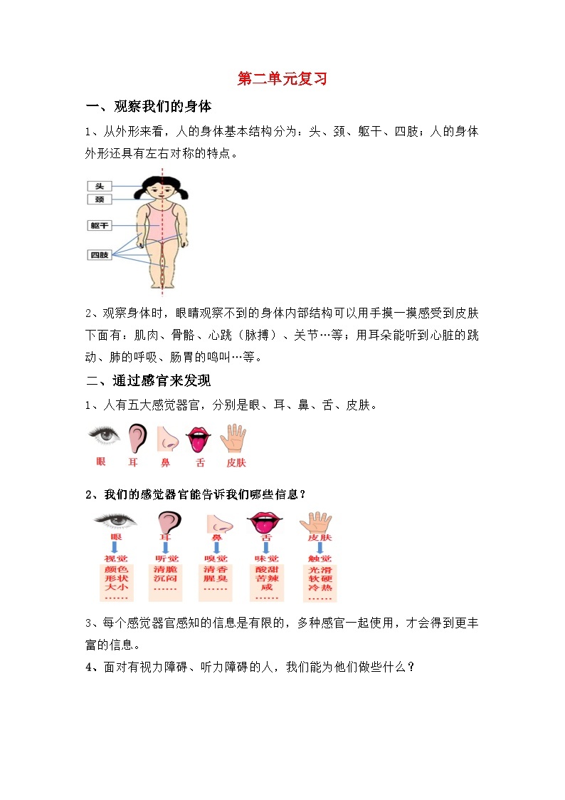 【期末单元复习】小学科学二年级下册教科版单元知识点总结：第二单元我们自己01