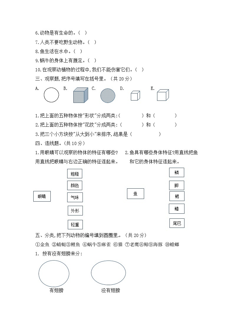 小学科学教科版(2017)一年级下册期末模拟卷5(含答案)02