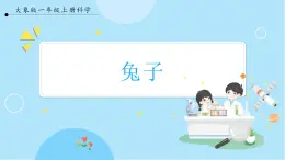 【大象版】一上科學(xué)  2.1《兔子》課件+教案+練習(xí)