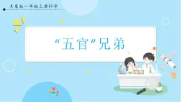 【大象版】一上科學(xué)  1.1《“五官”兄弟》課件+教案+練習(xí)