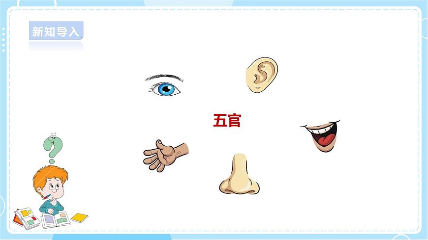 1.1《“五官”兄弟》課件第3頁(yè)