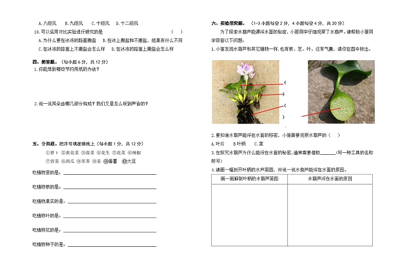 小学科学苏教版(2017)三年级下册期末模拟卷三(含答案)02