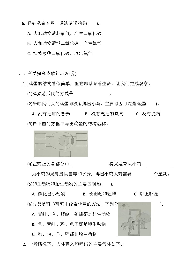 小学科学冀人版四年级下册期末模拟卷5第3页