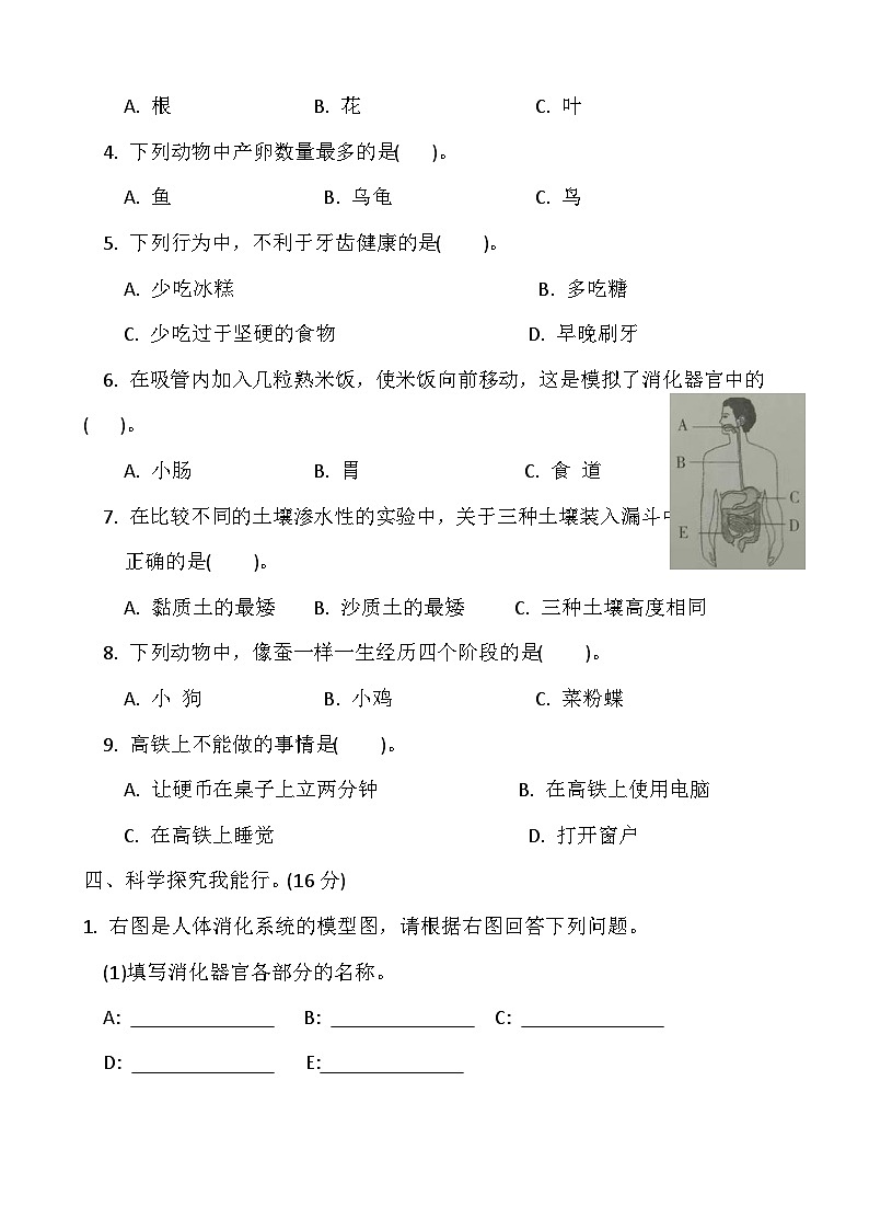 小学科学冀人版四年级下册期末模拟卷10第3页