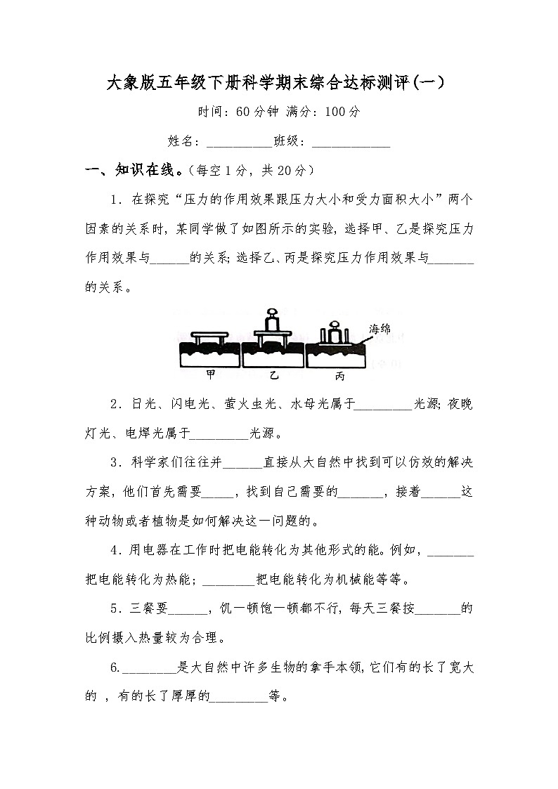 小学科学大象版五年级下册期末模拟卷101