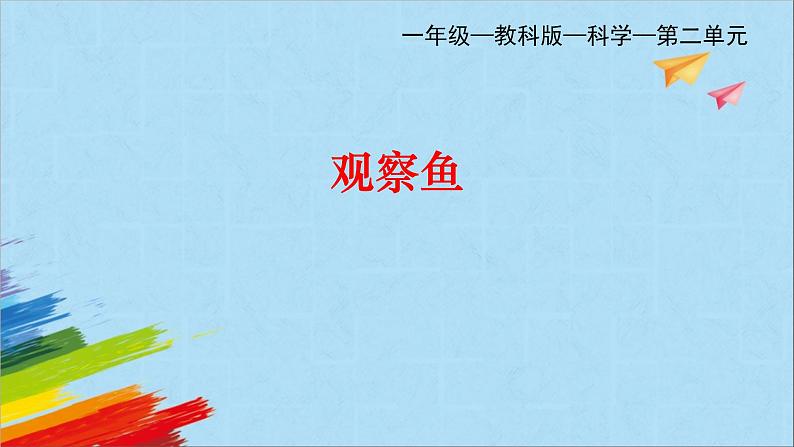 教科版(2017秋) 一年级下册第 2.5 观察鱼课件PPT第1页