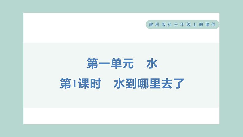 1.1 水到哪里去了 习题课件 三年级上册科学教科版01