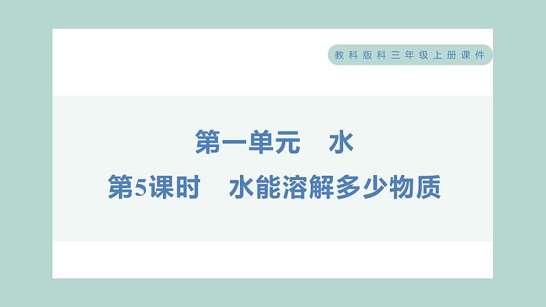 1.5 水能溶解多少物质 习题课件 三年级上册科学教科版01