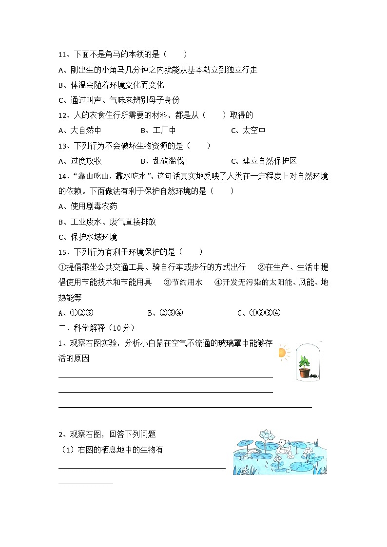 冀人版科学六上 第四单元《生物与环境》单元检测A卷+答案第2页