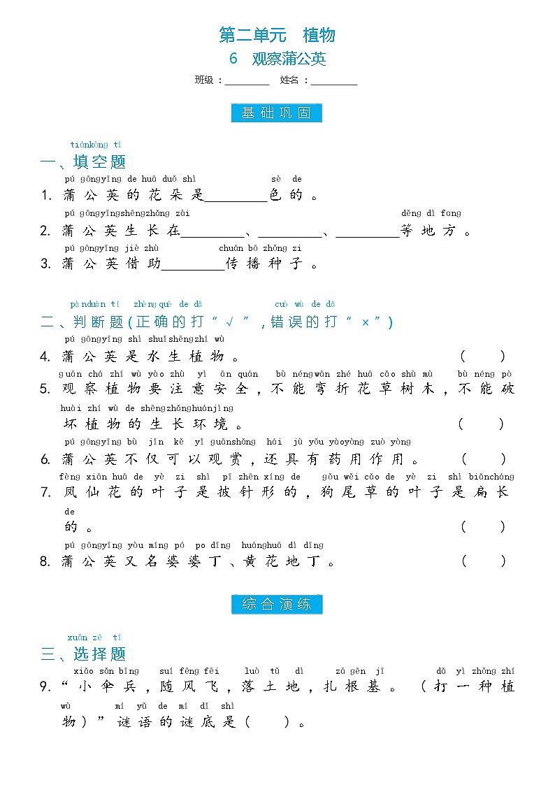 冀人版一年级上册第6课 观察蒲公英双减分层同步练习(含答案)01