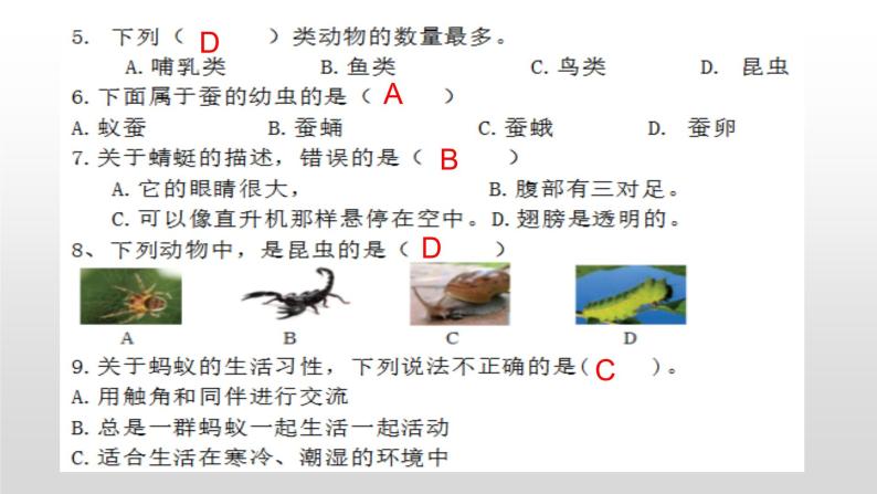 苏教版小学科学四年级下册第三单元【昆虫】检测题（二）答案PPT03