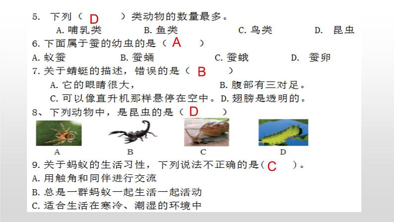 苏教版小学科学四年级下册第三单元【昆虫】检测题(二)答案PPT第3页