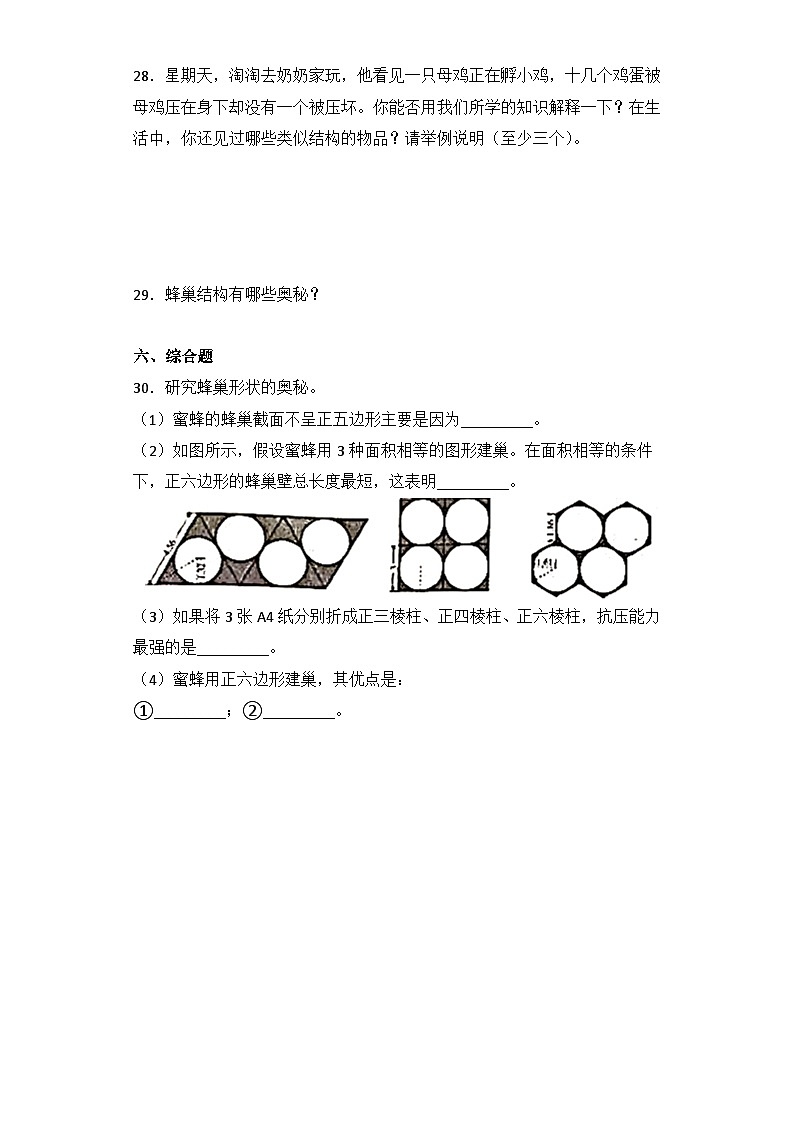 苏教版五年级科学下册单元分层训练:第二单元(A卷·基础篇+答案)03