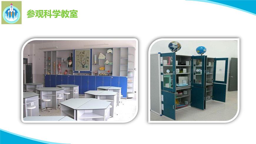 3上好科學(xué)課PPT課件蘇教版科學(xué)一年級上冊第5頁