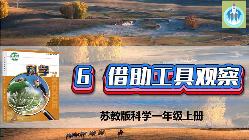6借助工具觀察PPT課件蘇教版科學一年級上冊第1頁