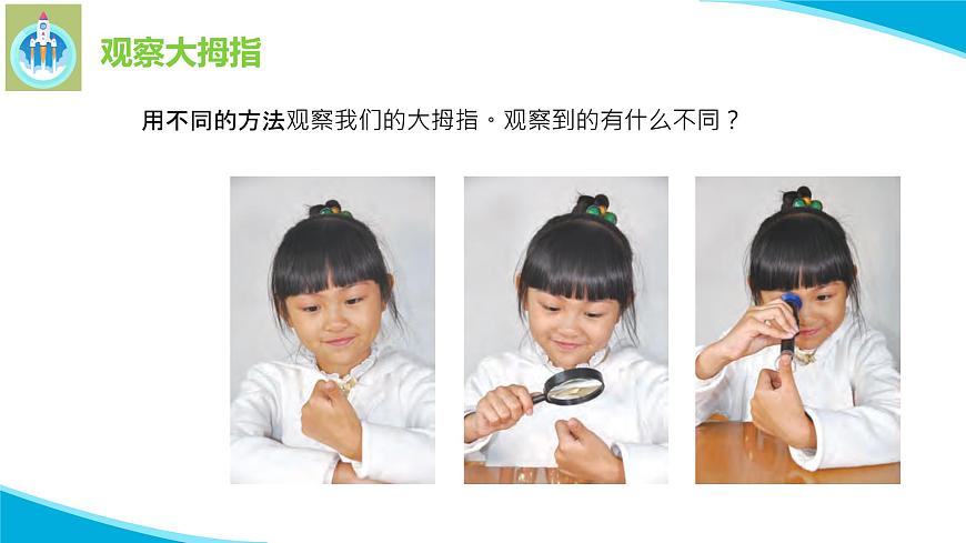 6借助工具觀察PPT課件蘇教版科學一年級上冊第2頁