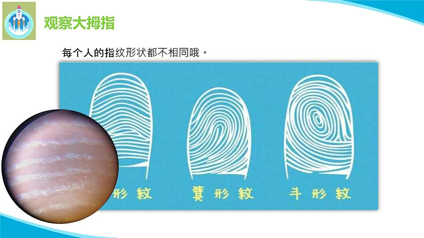 6借助工具觀察PPT課件蘇教版科學一年級上冊第3頁