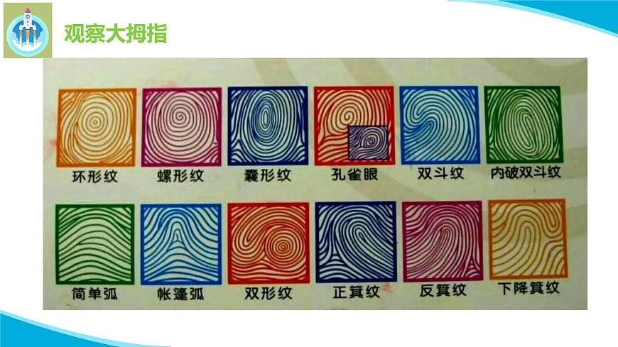 6借助工具觀察PPT課件蘇教版科學一年級上冊第4頁