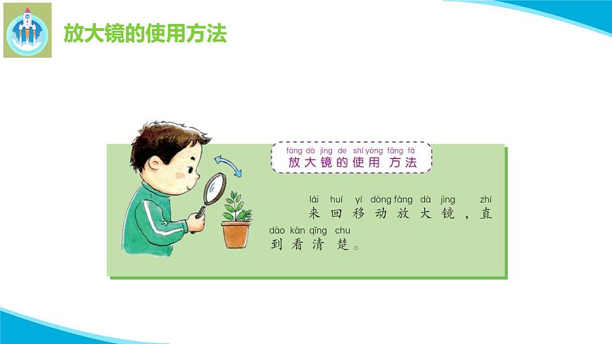 6借助工具觀察PPT課件蘇教版科學一年級上冊第5頁