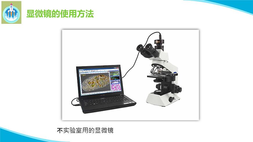 6借助工具觀察PPT課件蘇教版科學一年級上冊第8頁