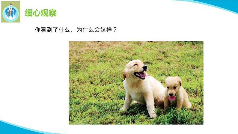7做个小侦探PPT课件苏教版科学一年级上册04