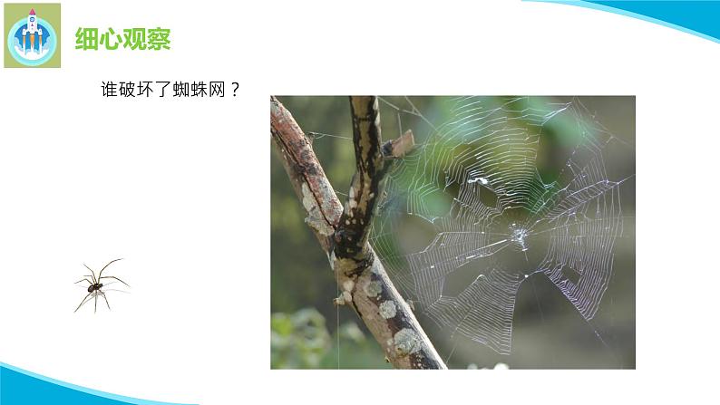 7做个小侦探PPT课件苏教版科学一年级上册05
