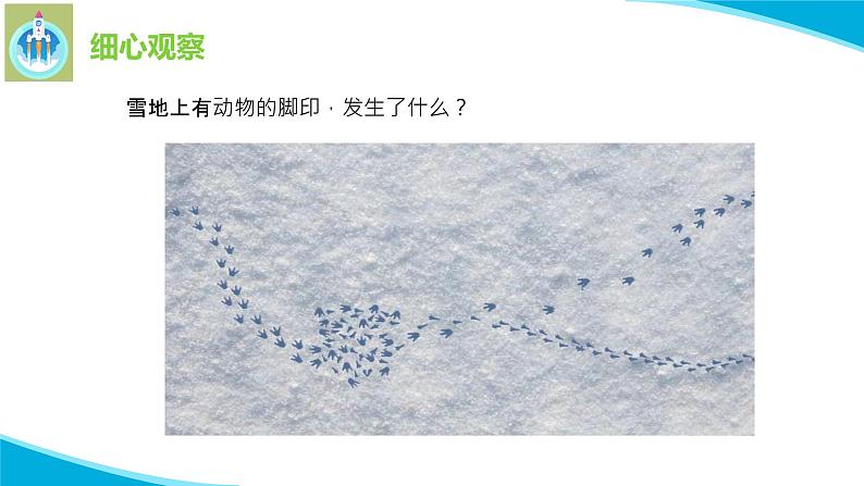 7做个小侦探PPT课件苏教版科学一年级上册06