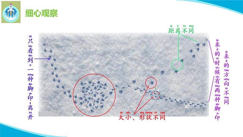 7做个小侦探PPT课件苏教版科学一年级上册07