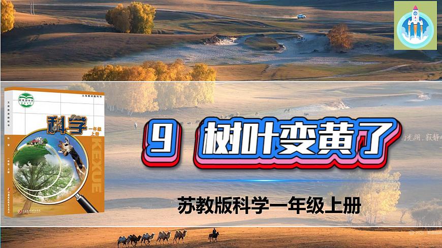 9樹葉變黃了PPT課件蘇教版科學(xué)一年級上冊第1頁