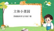 苏教版 (2017)五年级下册STEM学习 立体小菜园优质课件ppt