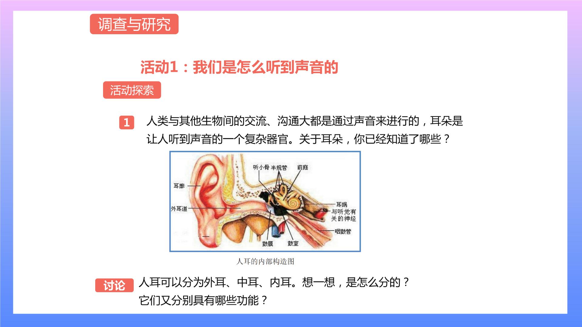 通用版 小学科学 制作护耳器-调查与研究（课件）