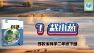 小学科学苏教版 (2017)二年级下册第三单元 土壤与生命7 栽小葱课文ppt课件