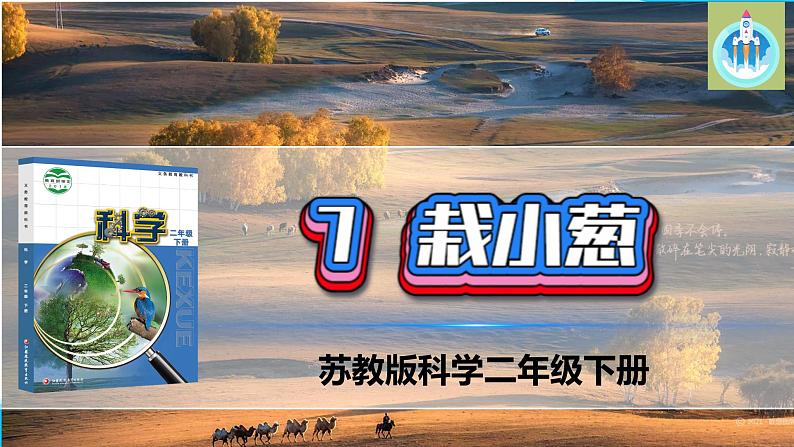 苏教版科学二年级下册7栽小葱PPT课件01