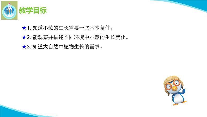 苏教版科学二年级下册7栽小葱PPT课件02