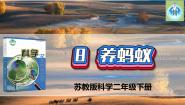 苏教版 (2017)二年级下册第三单元 土壤与生命8 养蚂蚁图片ppt课件