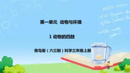 1 动物的四肢 教学课件