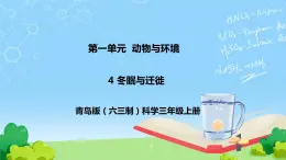 4 冬眠与迁徙 教学课件