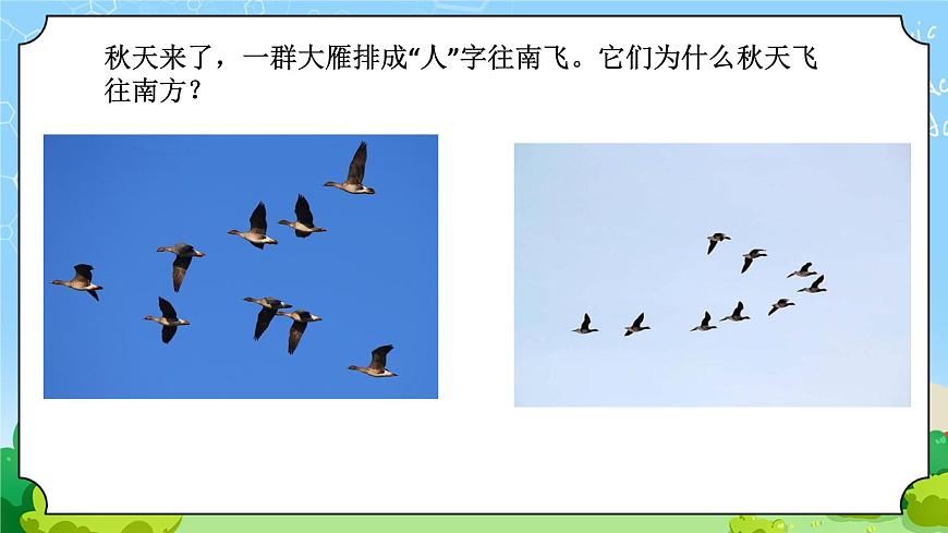 4 冬眠與遷徙 教學(xué)課件第2頁(yè)