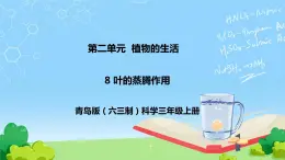 8 叶的蒸腾作用 教学课件