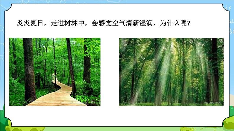 8 叶的蒸腾作用 教学课件第2页